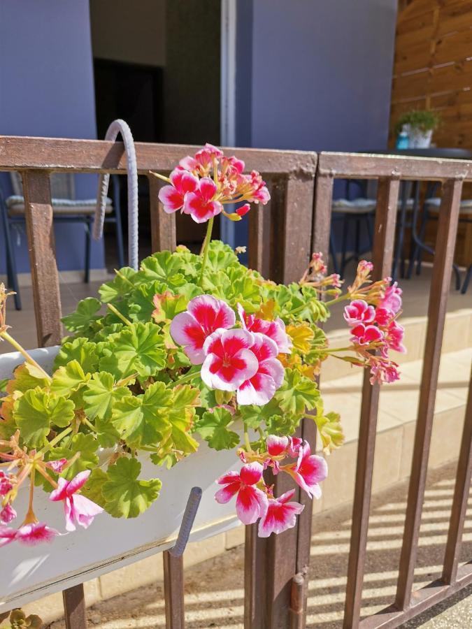 Hamboula Apartment Polis Ngoại thất bức ảnh