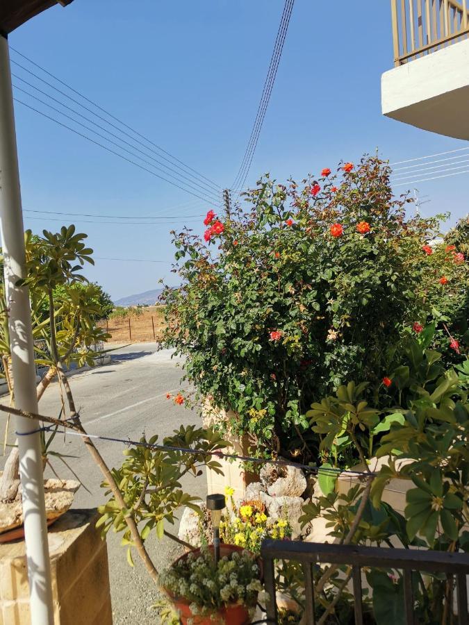 Hamboula Apartment Polis Ngoại thất bức ảnh