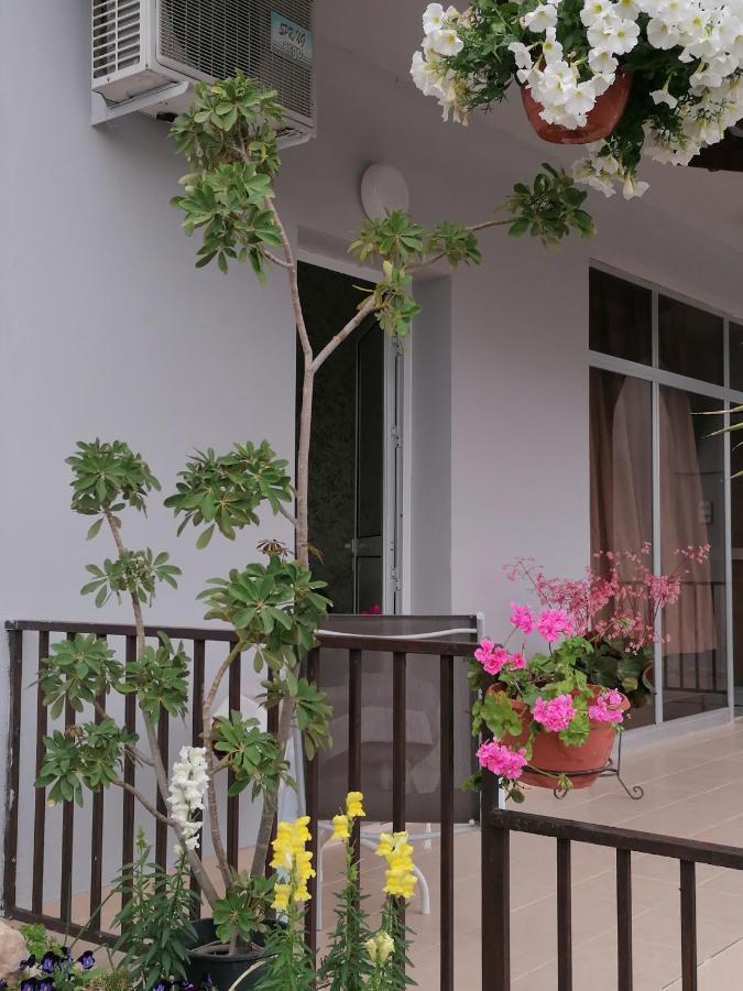 Hamboula Apartment Polis Ngoại thất bức ảnh